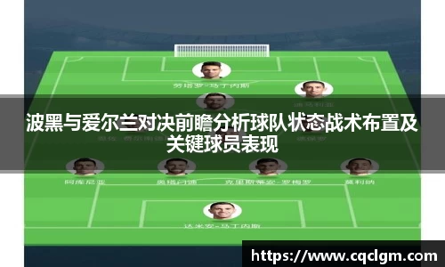 波黑与爱尔兰对决前瞻分析球队状态战术布置及关键球员表现